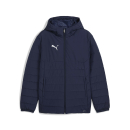 teamADDITIONS Winterjacke PUMA Navy-PUMA Silver