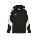 teamEVOSTRIPE Hooded Jacket PUMA Black-PUMA Silver-PUMA...