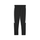 teamEVOSTRIPE Pants PUMA Black-PUMA Silver-PUMA White