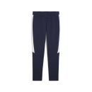 teamEVOSTRIPE Hose PUMA Navy-PUMA Silver-PUMA White