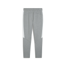 teamEVOSTRIPE Hose Medium Gray Heather-PUMA Silver-PUMA...