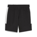 teamEVOSTRIPE Shorts PUMA Black-PUMA Silver-PUMA White