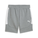 teamEVOSTRIPE Shorts Medium Gray Heather-PUMA Silver-PUMA...