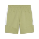 teamEVOSTRIPE Shorts Calming Green-PUMA Silver-PUMA White