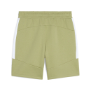 teamEVOSTRIPE Shorts Calming Green-PUMA Silver-PUMA White