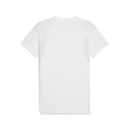 teamEVOSTRIPE Tee PUMA White-PUMA Silver-Feather Gray