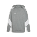 teamEVOSTRIPE Hoody Medium Gray Heather-PUMA Silver-PUMA...