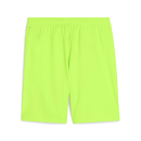 teamGOAL Shorts Green Glare-PUMA Black