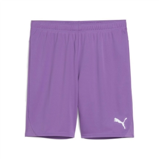 teamGOAL Shorts Ultraviolet-PUMA White