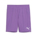 teamGOAL Shorts Ultraviolet-PUMA White