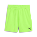 teamGOAL Shorts Junior Green Glare-PUMA Black