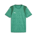 teamCUP Trikot Sport Green-PUMA White-Power Green