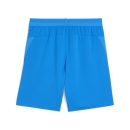 teamCUP Shorts Electro Royal-PUMA White