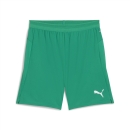 teamCUP Shorts Sport Green-PUMA White