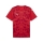 teamULTIMATE Trikot PUMA Red-PUMA White