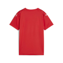 teamULTIMATE Jersey Jr PUMA Red-PUMA White