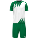 Trikot Vintage KA weiß/grün