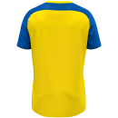 Jersey Vintage S/S yellow/royal