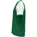 Jersey Dynamic S/S dark green/white/green