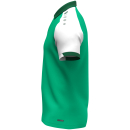 Polo Dynamic green/white/dark green