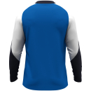 Longsleeve Dynamic royal/white/seablue