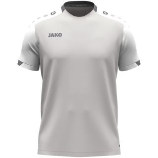 T-Shirt Dynamic hellgrau/weiß/grau L