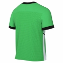 Trainingsshirt ACADEMY 25 grün/weiß