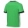 Training Jersey ACADEMY 25 green spark/white