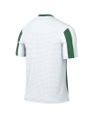 Jersey STRIPED DIVISON V white/pine green