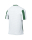 Jersey STRIPED DIVISON V white/pine green