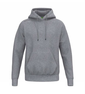 TS Hoody grau
