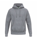 TS Hoody grau