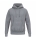 TS Hoody grau