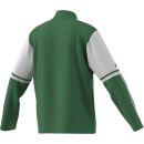 Training Jacket SQUADRA 25 team green/white