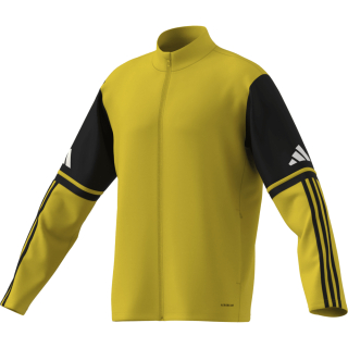 Training Jacket SQUADRA 25 team yellow/black