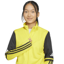 Youth-Training Jacket SQUADRA 25 team yellow/black