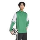 Training Top SQUADRA 25 team green/white