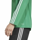 Training Top SQUADRA 25 team green/white