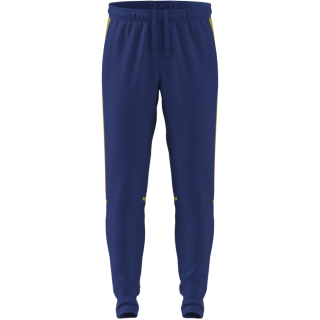 Training Pant SQUADRA 25 team royal blue/team yellow