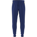 Trainingshose SQUADRA 25 royalblau/gelb
