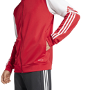 Hooded Jacket SQUADRA 25 team power red/white
