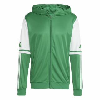 Hooded Jacket SQUADRA 25 team green/white