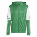 Hooded Jacket SQUADRA 25 team green/white