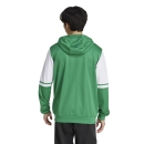 Hooded Jacket SQUADRA 25 team green/white