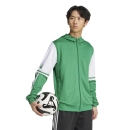 Hooded Jacket SQUADRA 25 team green/white