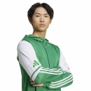 Hooded Jacket SQUADRA 25 team green/white
