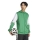 Hooded Jacket SQUADRA 25 team green/white