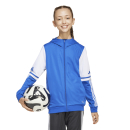 Youth Hooded Jacket SQUADRA 25 team royal blue/white