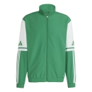 Presentation Jacket SQUADRA 25 team green/white