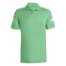 Polo SQUADRA 25 team green/white